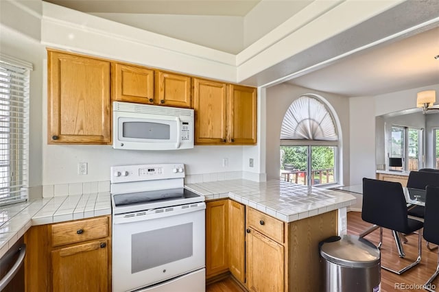 19939 Mitchell Cir, Denver, CO 80249 - photo 8