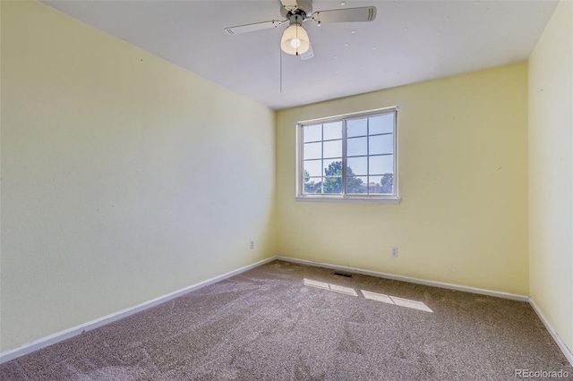 19939 Mitchell Cir, Denver, CO 80249 - photo 28