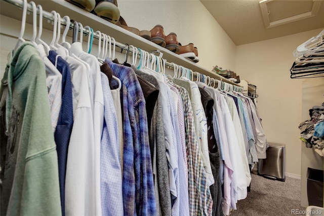 spacious closet featuring carpet floors