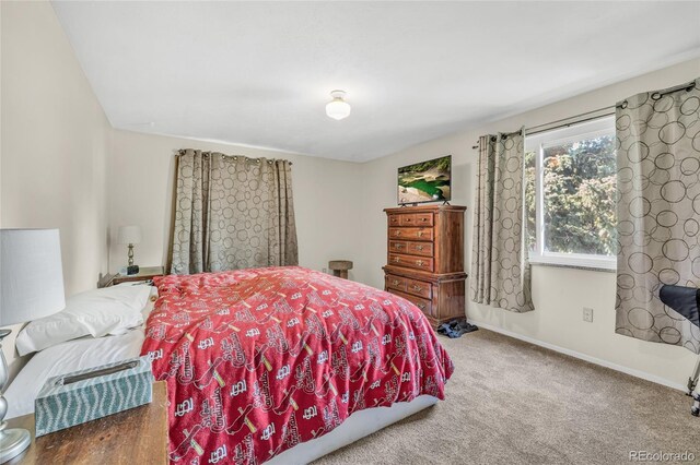 1830 Zang St, Golden, CO 80401 - photo 11