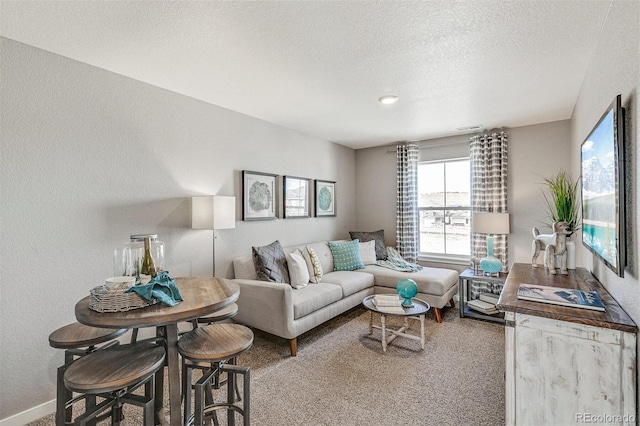 14219 Beebalm Ave, Parker, CO 80134 - photo 22