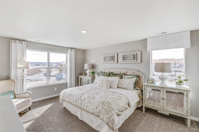 14219 Beebalm Ave, Parker, CO 80134 - photo 24