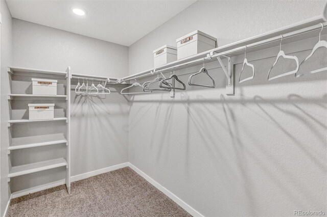 14219 Beebalm Ave, Parker, CO 80134 - photo 29