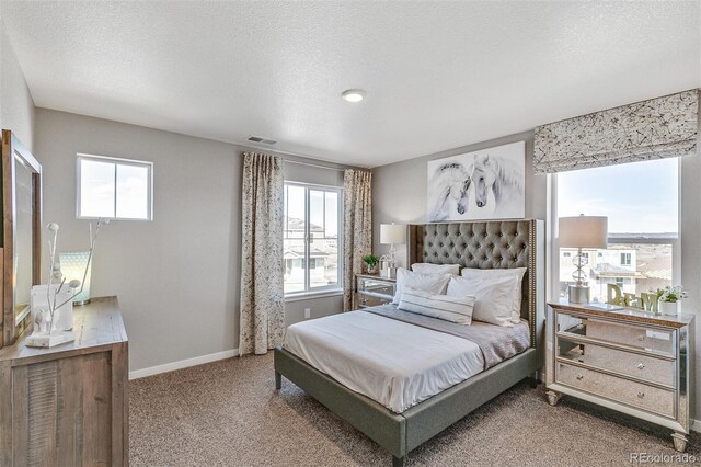 14219 Beebalm Ave, Parker, CO 80134 - photo 33