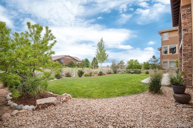 10783 Skydance Dr, Highlands Ranch, CO 80126 - photo 38