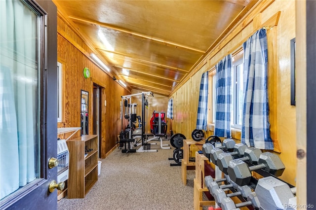 62 Rubel Cir, Westcliffe, CO 81252 - workout area with wooden walls, carpet, and lofted ceiling