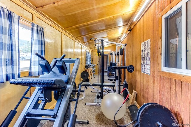 62 Rubel Cir, Westcliffe, CO 81252 - exercise area featuring wooden walls and carpet flooring