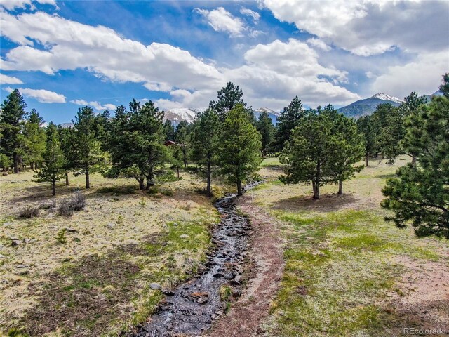 62 Rubel Cir, Westcliffe, CO 81252 - view of local wilderness featuring a mountain backdrop