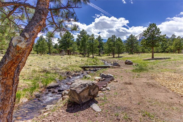 62 Rubel Cir, Westcliffe, CO 81252 - view of yard