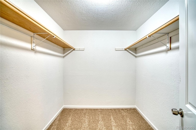 1417 Frontier St, Longmont, CO 80501 - photo 30