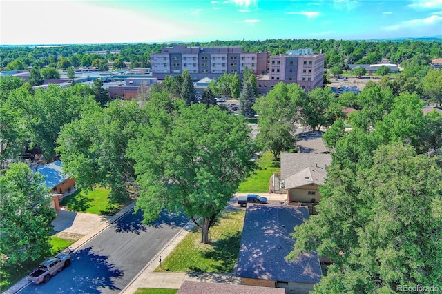 1417 Frontier St, Longmont, CO 80501 - photo 36