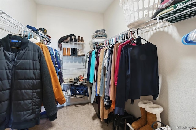 walk in closet with carpet flooring