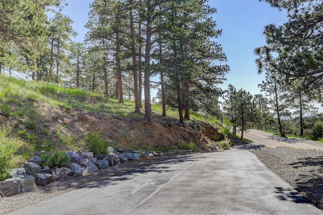 1688 Pine Valley Rd, Evergreen, CO 80439 - photo 35