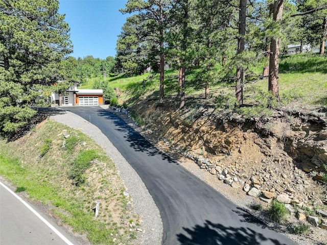 1688 Pine Valley Rd, Evergreen, CO 80439 - photo 36