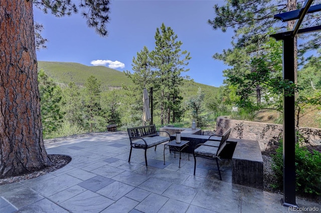 1688 Pine Valley Rd, Evergreen, CO 80439 - photo 37