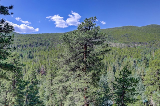 1688 Pine Valley Rd, Evergreen, CO 80439 - photo 38