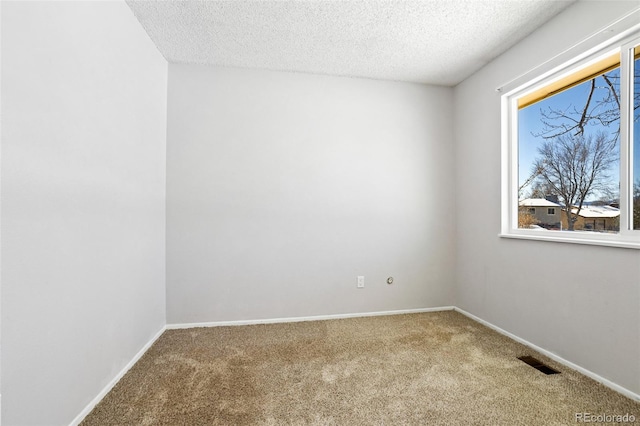 spare room with a healthy amount of sunlight, carpet flooring, and a textured ceiling