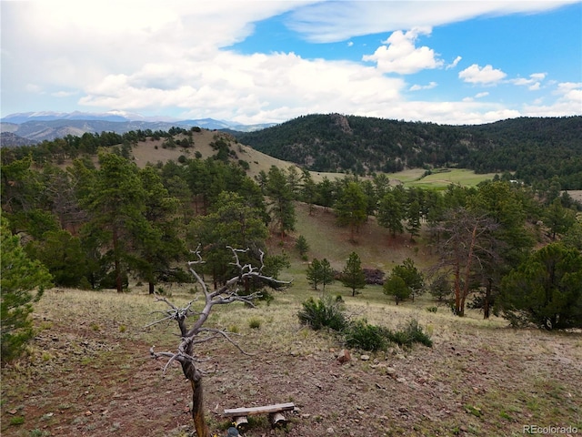 view of mountain feature