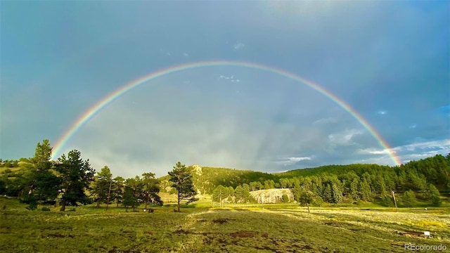 view of local wilderness with a rural view