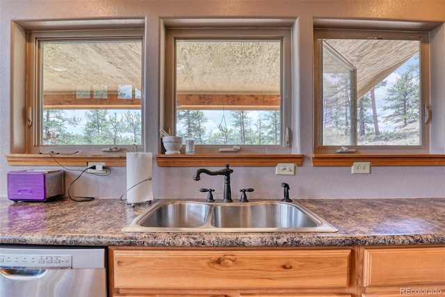 kitchen with stainless steel dishwasher, a healthy amount of sunlight, and sink