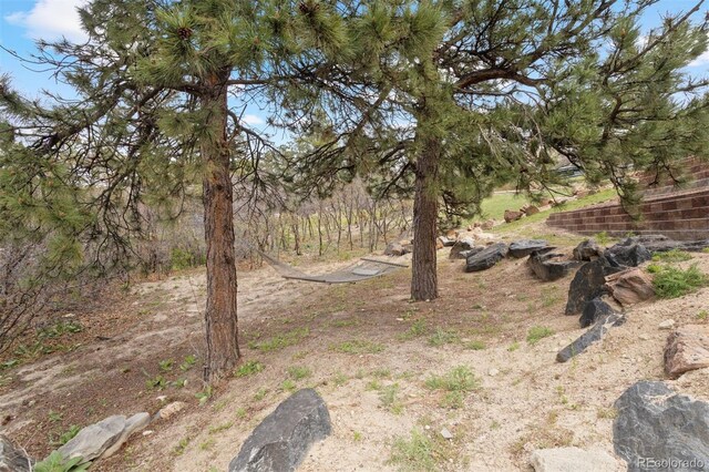 4605 Tierra Alta Dr, Castle Rock, CO 80104 - photo 36