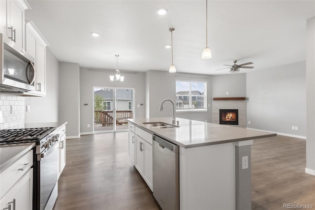 2248 Rosette Ln, Castle Rock, CO 80104 - kitchen with appliances with stainless steel finishes, a ceiling fan, dark wood finished floors, backsplash, and open floor plan