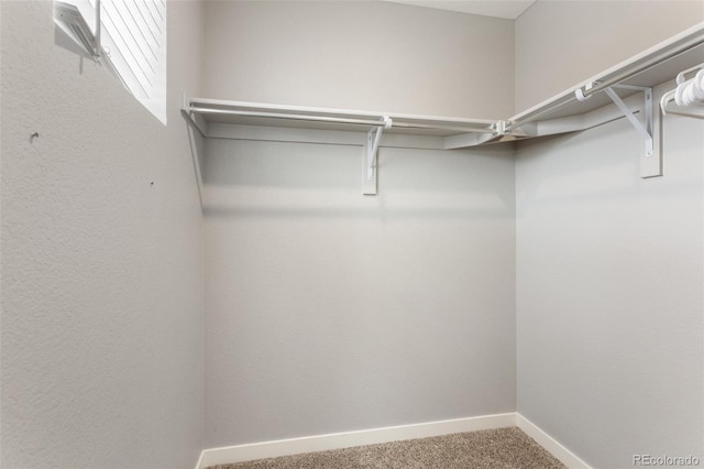 2248 Rosette Ln, Castle Rock, CO 80104 - spacious closet with carpet
