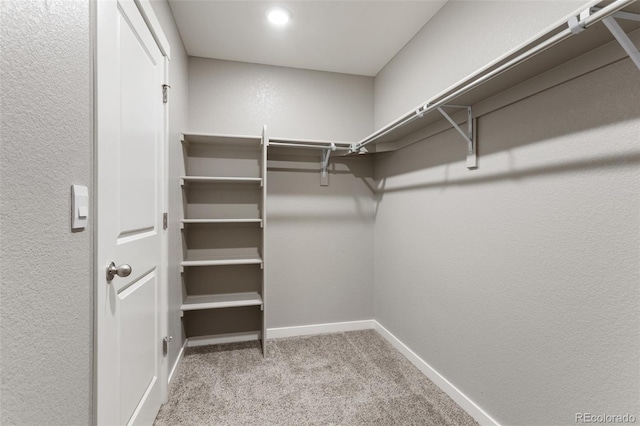 2248 Rosette Ln, Castle Rock, CO 80104 - walk in closet with carpet flooring