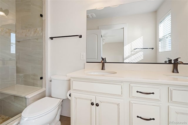 full bathroom with double vanity, a shower stall, toilet, and a sink