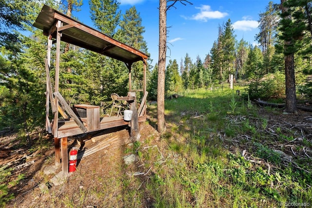 9948 S Turkey Creek Rd, Morrison, CO 80465 - photo 5