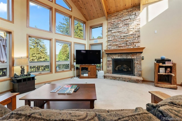9948 S Turkey Creek Rd, Morrison, CO 80465 - photo 8
