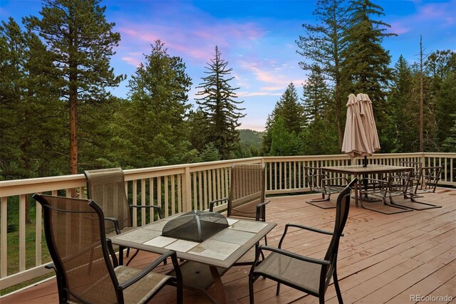 9948 S Turkey Creek Rd, Morrison, CO 80465 - photo 10