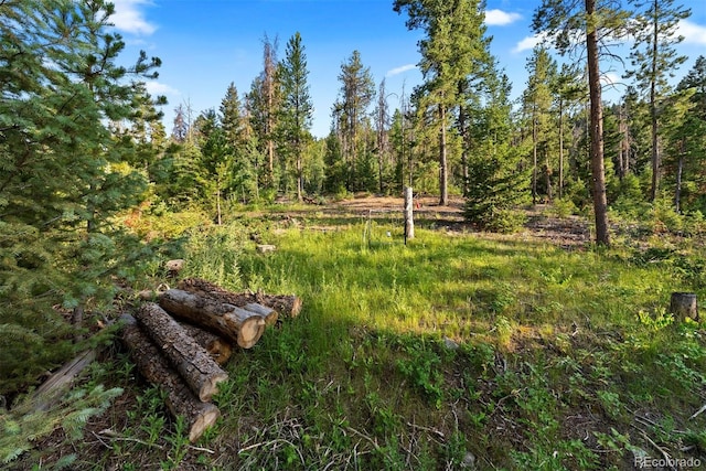 9948 S Turkey Creek Rd, Morrison, CO 80465 - photo 21