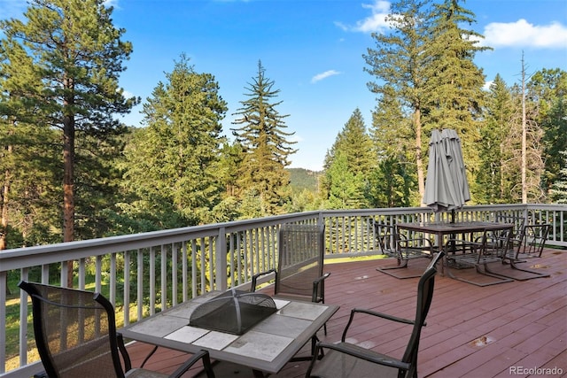 9948 S Turkey Creek Rd, Morrison, CO 80465 - photo 28