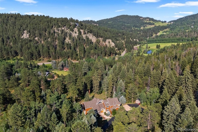 9948 S Turkey Creek Rd, Morrison, CO 80465 - photo 29