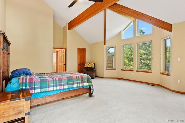 9948 S Turkey Creek Rd, Morrison, CO 80465 - photo 39