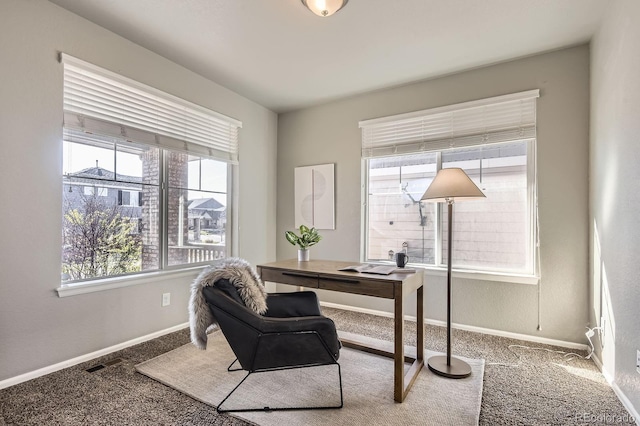 4406 Sidewinder Loop, Castle Rock, CO 80108 - carpeted home office featuring plenty of natural light and baseboards