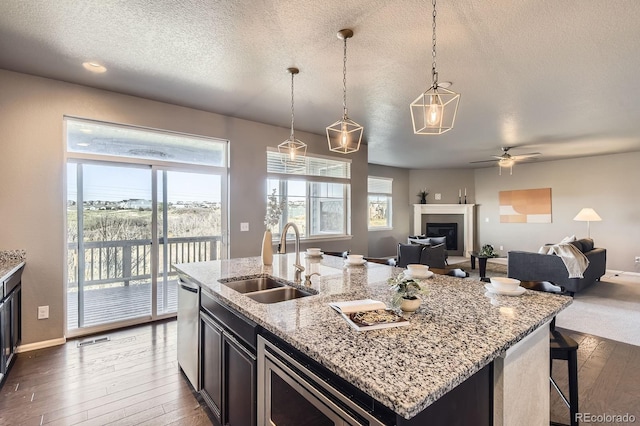 4406 Sidewinder Loop, Castle Rock, CO 80108 - kitchen with a sink, stainless steel appliances, ceiling fan, dark wood-style floors, and open floor plan