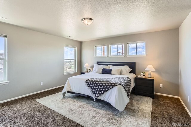 4406 Sidewinder Loop, Castle Rock, CO 80108 - carpeted bedroom with a textured ceiling and baseboards