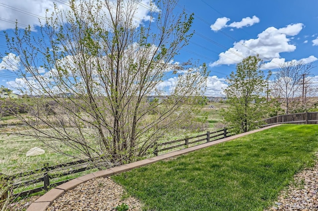 4406 Sidewinder Loop, Castle Rock, CO 80108 - view of yard