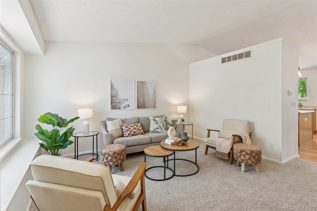 17611 Hoyt Pl, Parker, CO 80134 - carpeted living area with plenty of natural light, vaulted ceiling, and baseboards