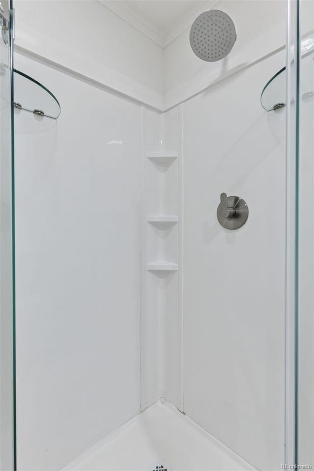 17611 Hoyt Pl, Parker, CO 80134 - full bathroom featuring a shower and ornamental molding