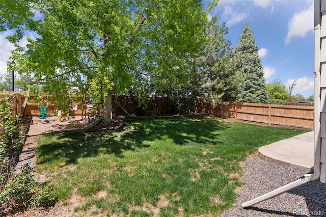 17611 Hoyt Pl, Parker, CO 80134 - view of yard featuring a patio area