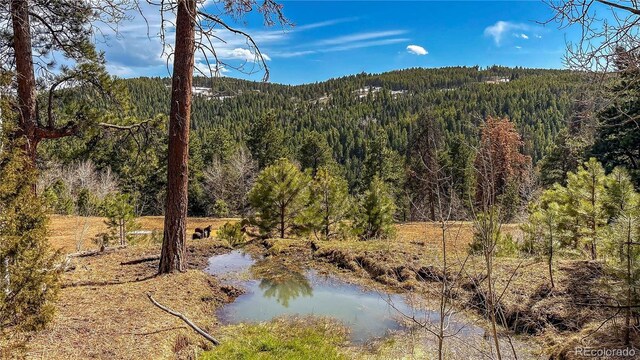 property view of mountains featuring a wooded view