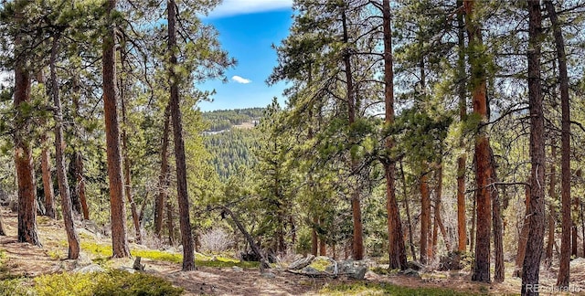 view of landscape featuring a wooded view