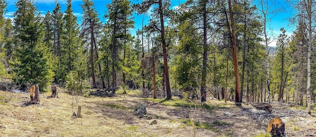 view of landscape featuring a wooded view