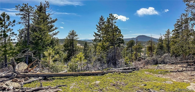 mountain view