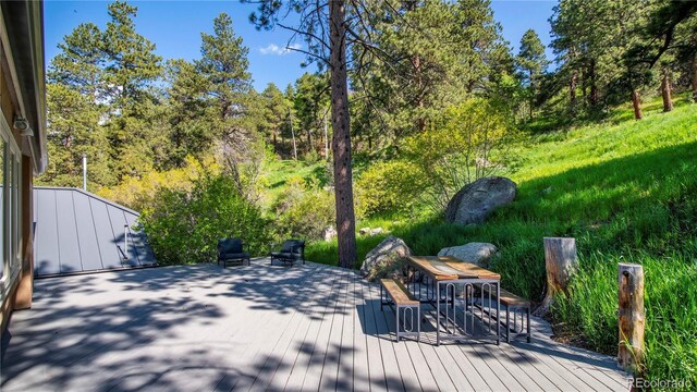 20951 Pleasant Park Rd, Conifer, CO 80433 - photo 20
