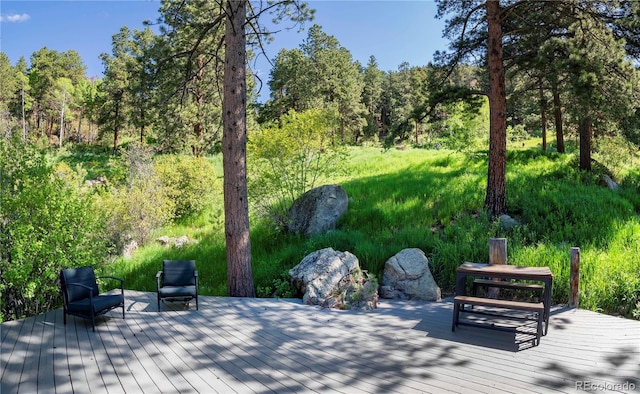 20951 Pleasant Park Rd, Conifer, CO 80433 - photo 21