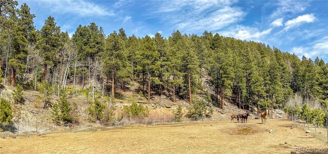 20951 Pleasant Park Rd, Conifer, CO 80433 - photo 35